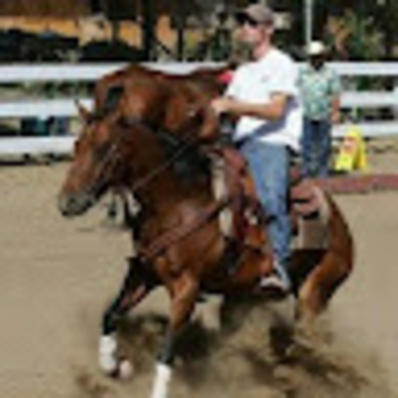 agcowhorses